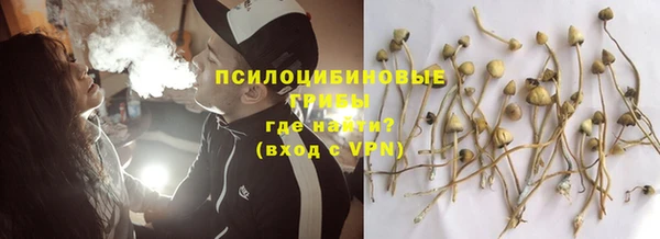 альфа пвп Инта