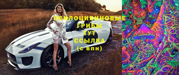 прущий лед Алексеевка