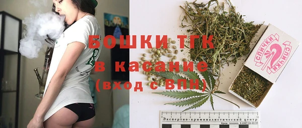 гидра Каменск-Шахтинский